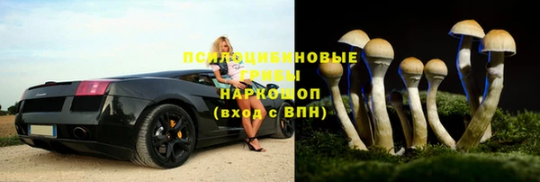 спиды Арсеньев