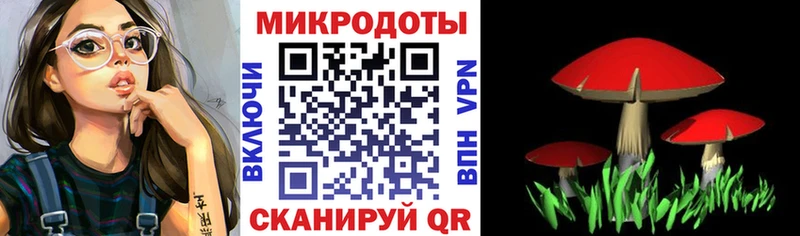 Галлюциногенные грибы мицелий  Белая Холуница 