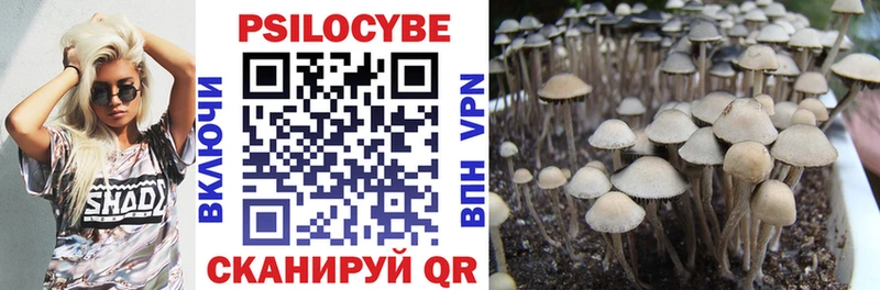 Псилоцибиновые грибы MAGIC MUSHROOMS Белая Холуница